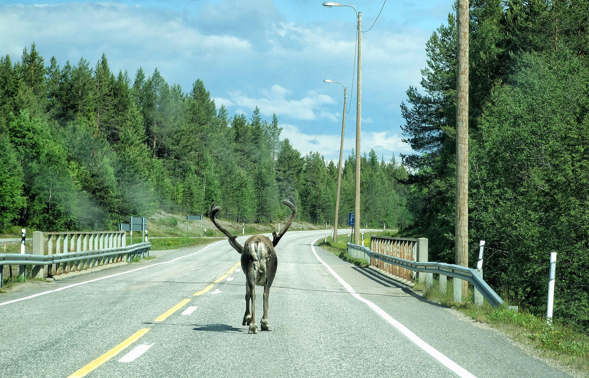 Ivalojoki v Laponsku