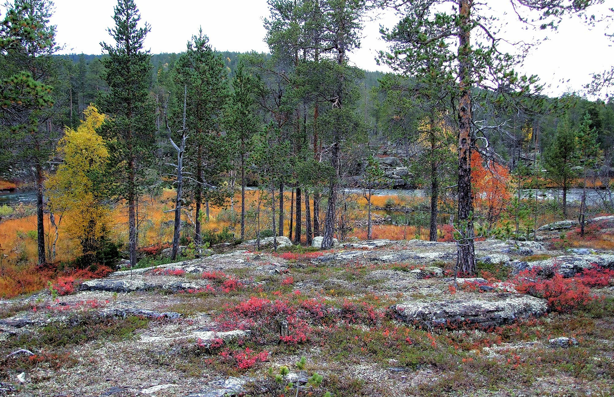 Laponsko Urho Kekkonen 2017