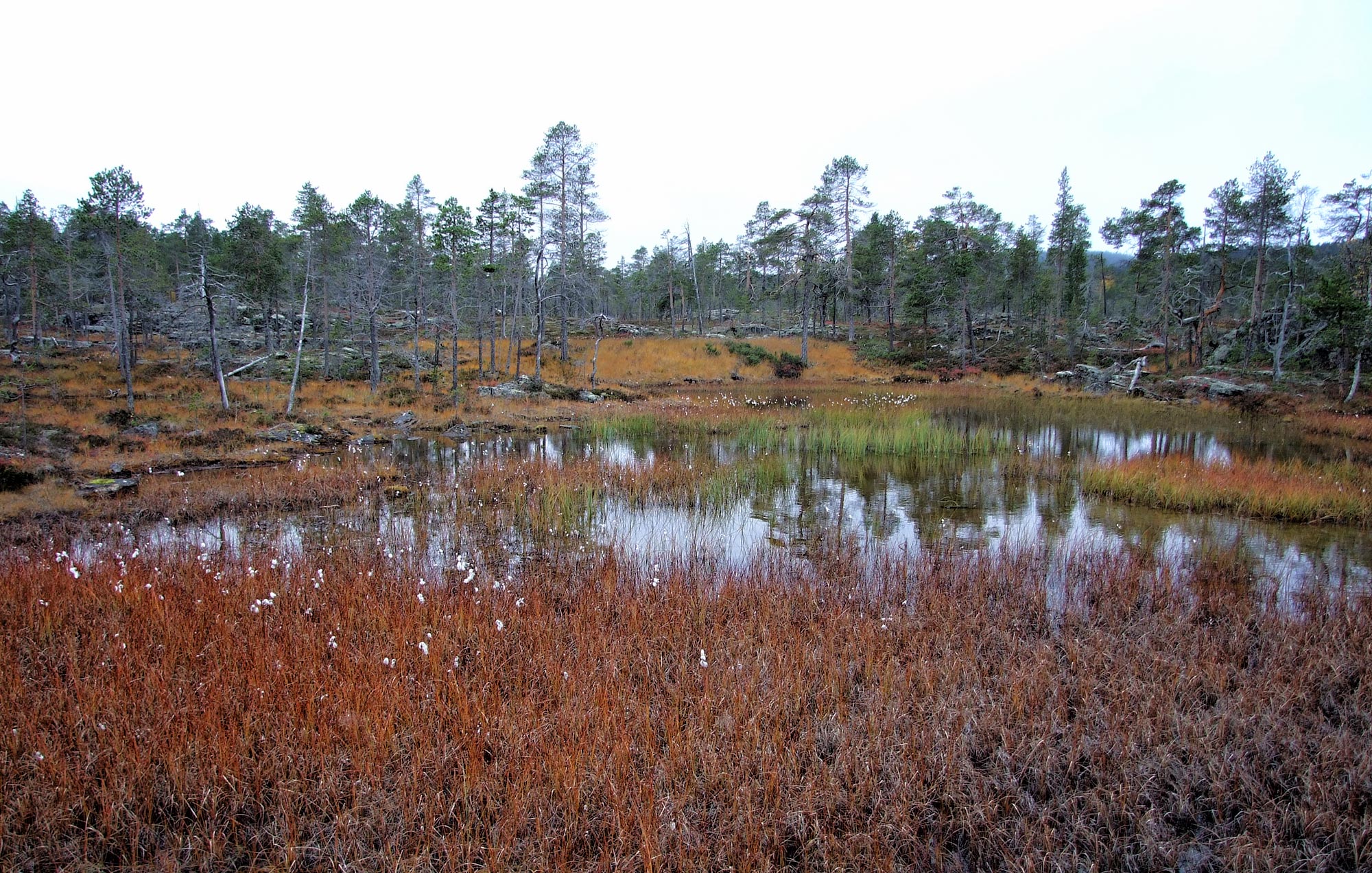 Laponsko Urho Kekkonen 2017