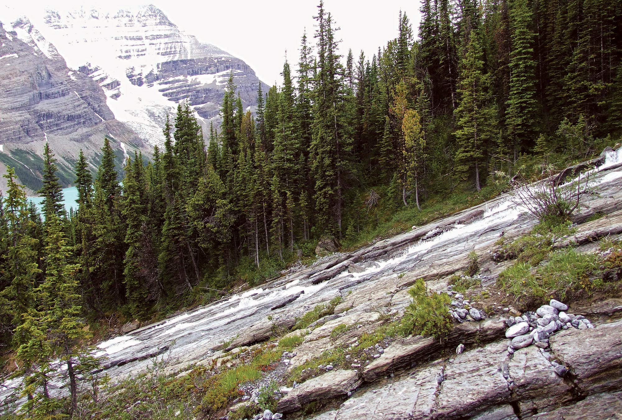 Rockie Mountains a Robson Park