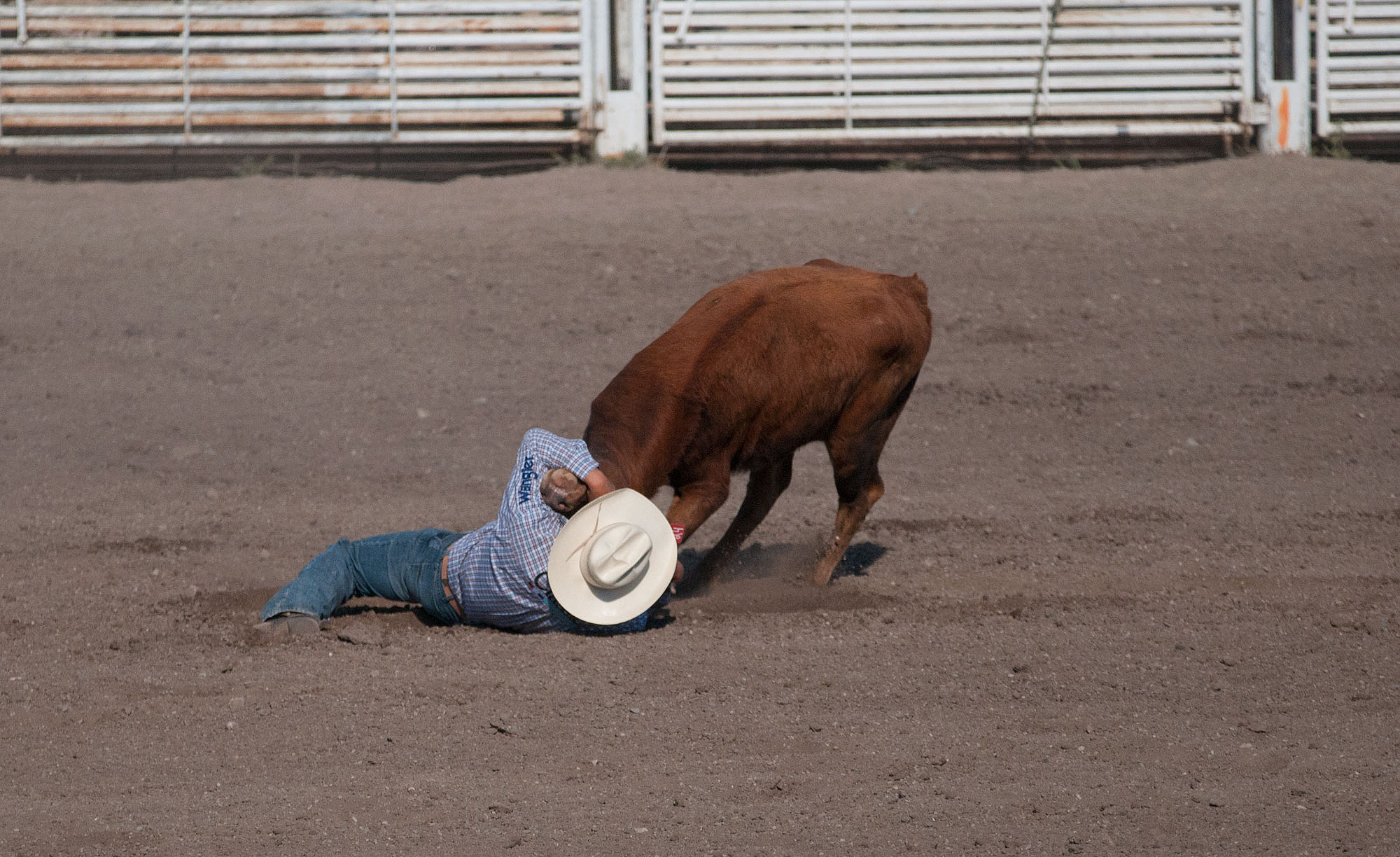 Rodeo u Černých noh