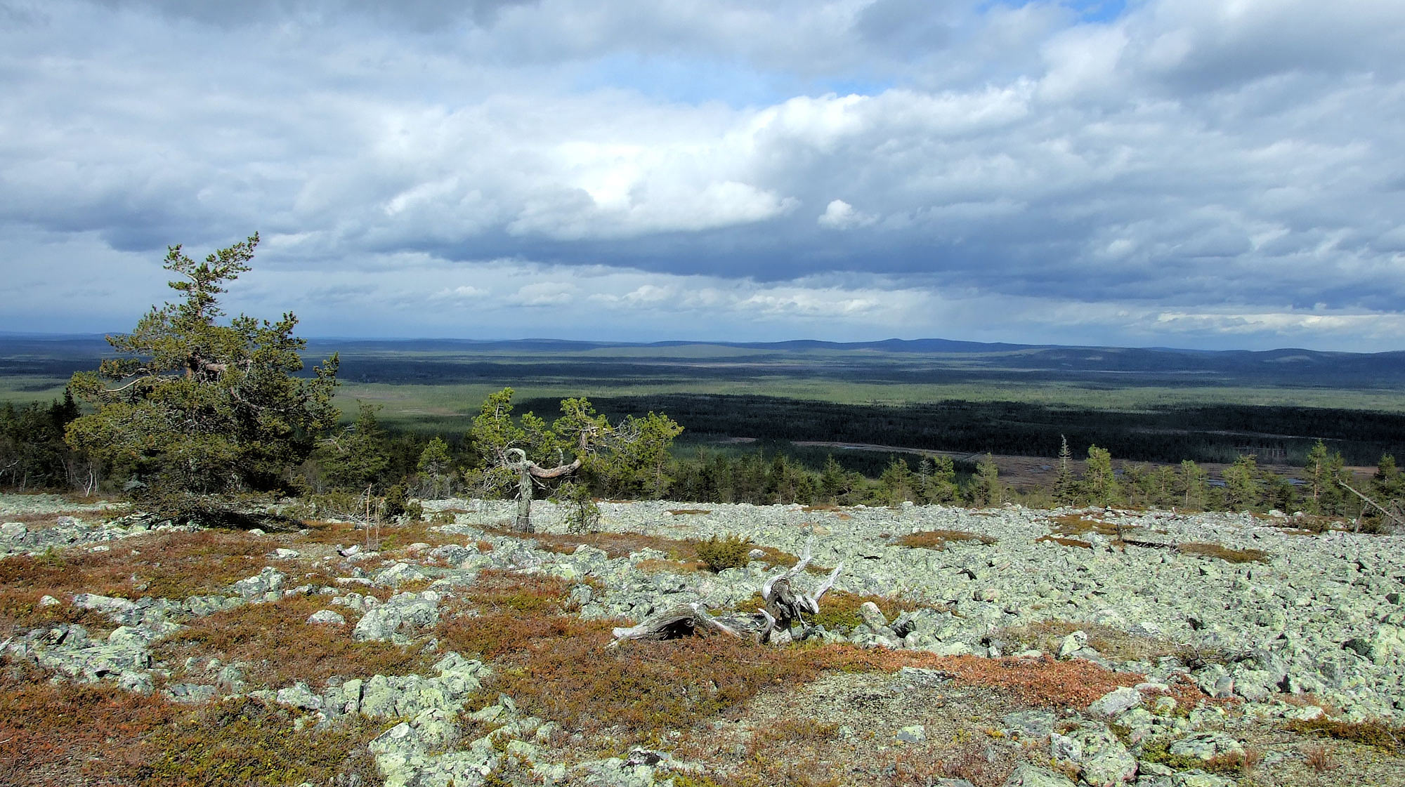 Park Luosto v Laponsku