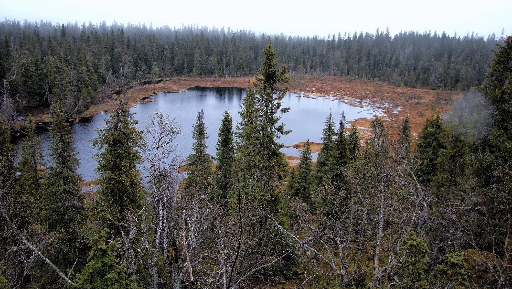 Oulanka park v Laponsku