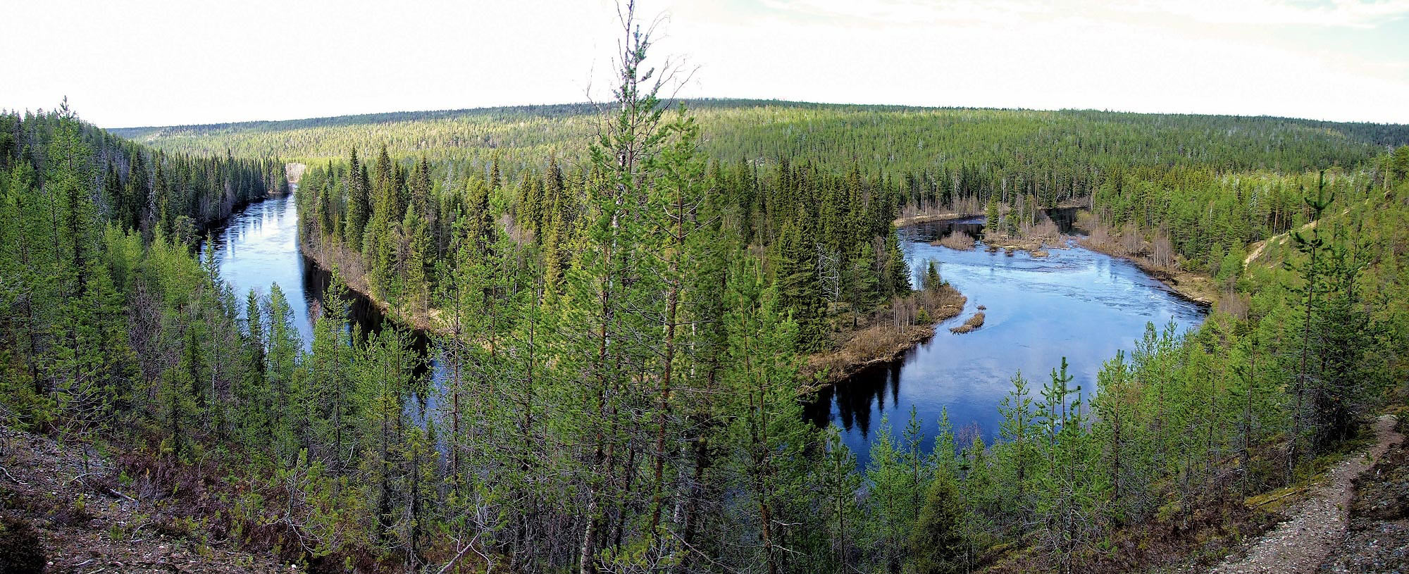 Oulanka park v Laponsku