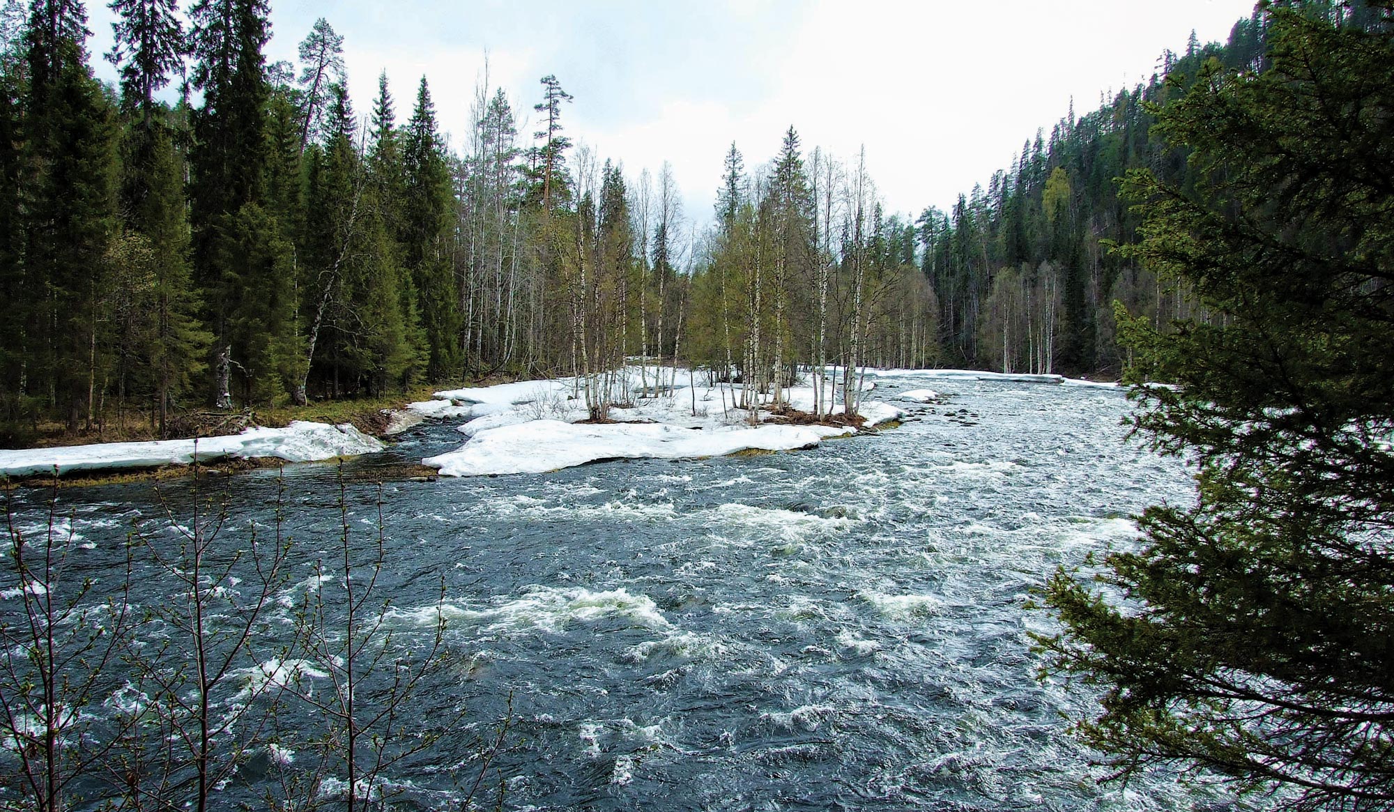 Oulanka park v Laponsku