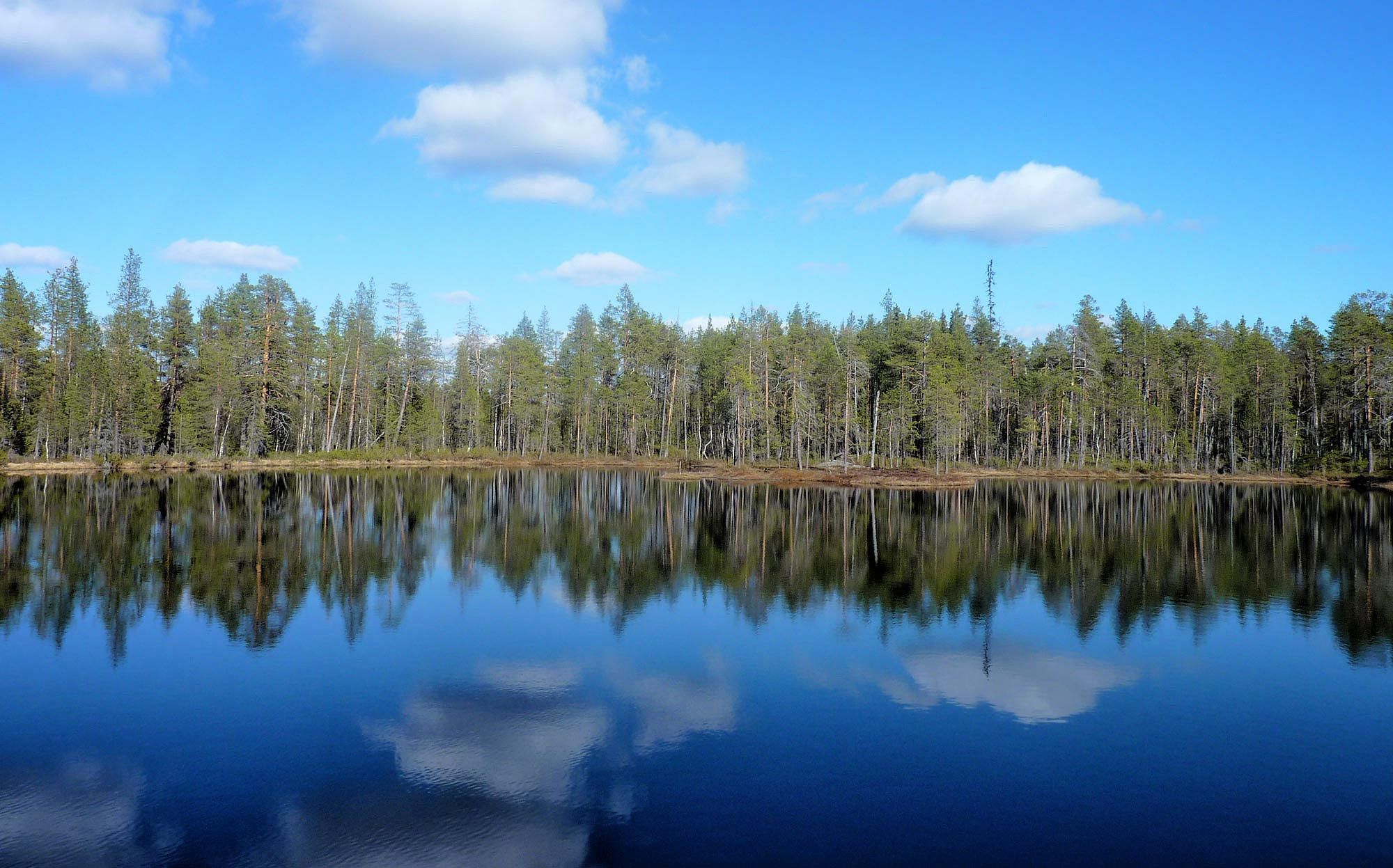 Karhunkierros v národním parku Oulanka