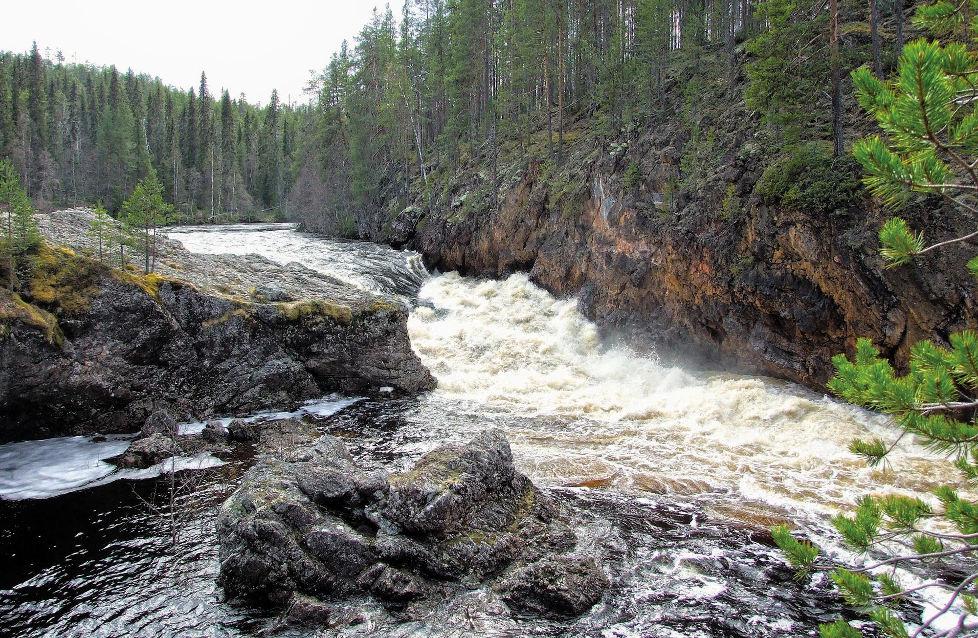 Oulanka park v Laponsku