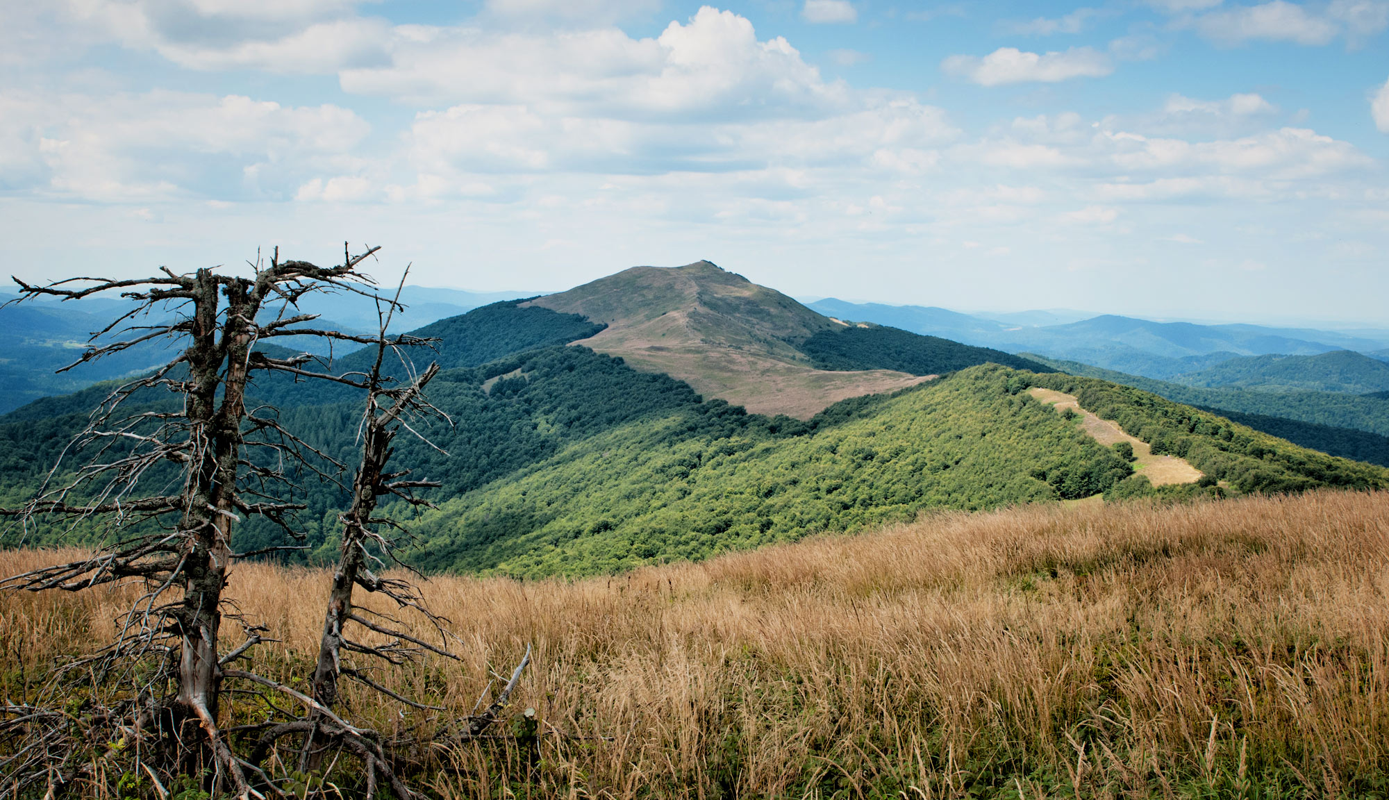 Bieszczady 2019