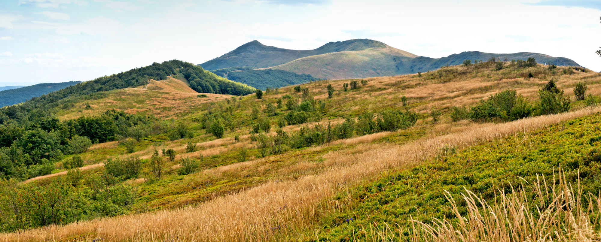 Bieszczady 2019