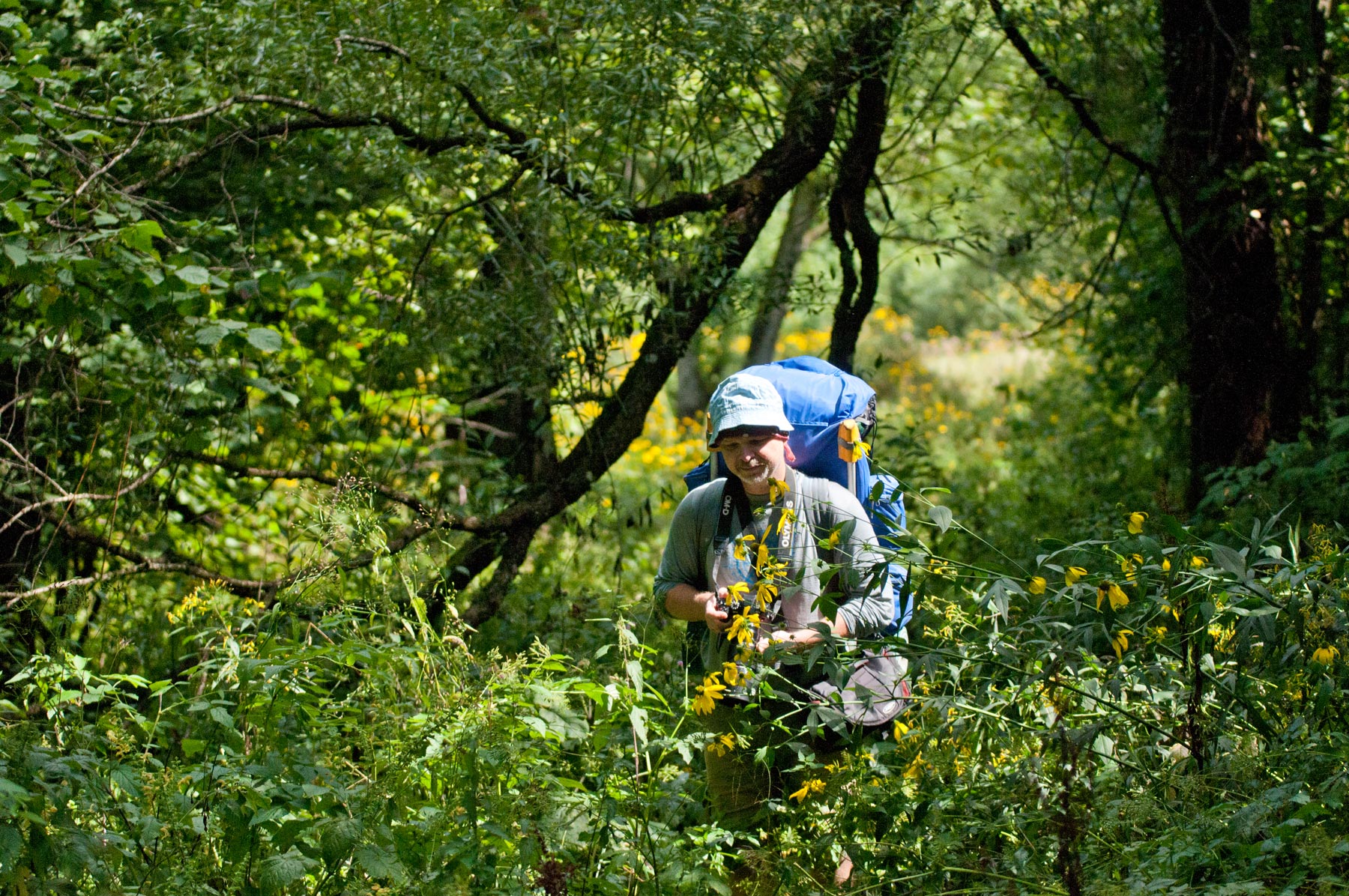 Bieszczady 2019