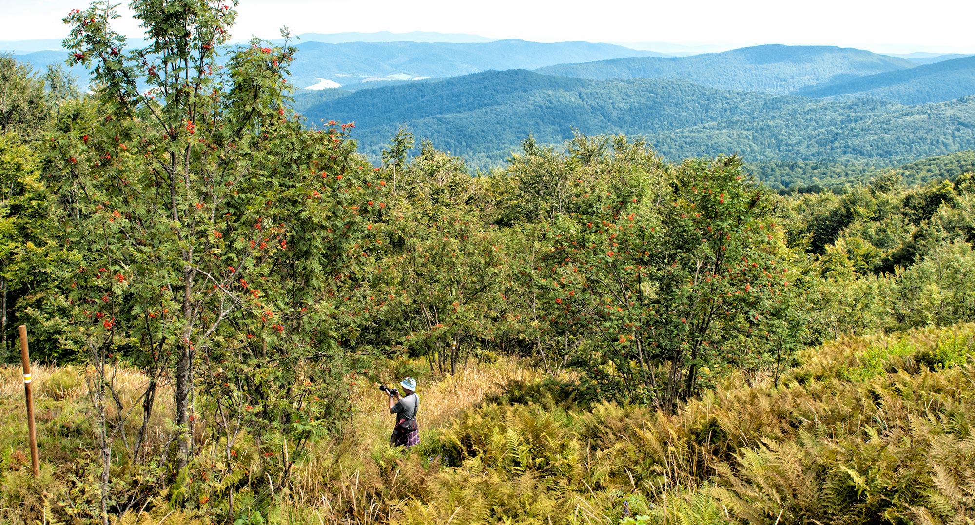 Bieszczady 2019