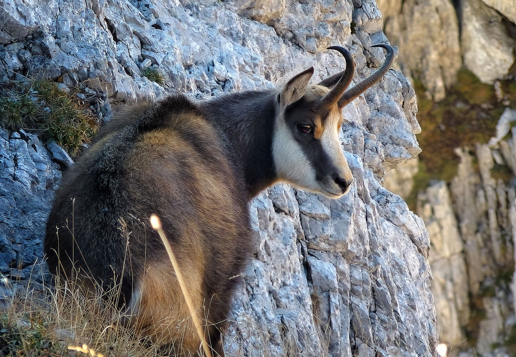 Vysoké Tatry od severu