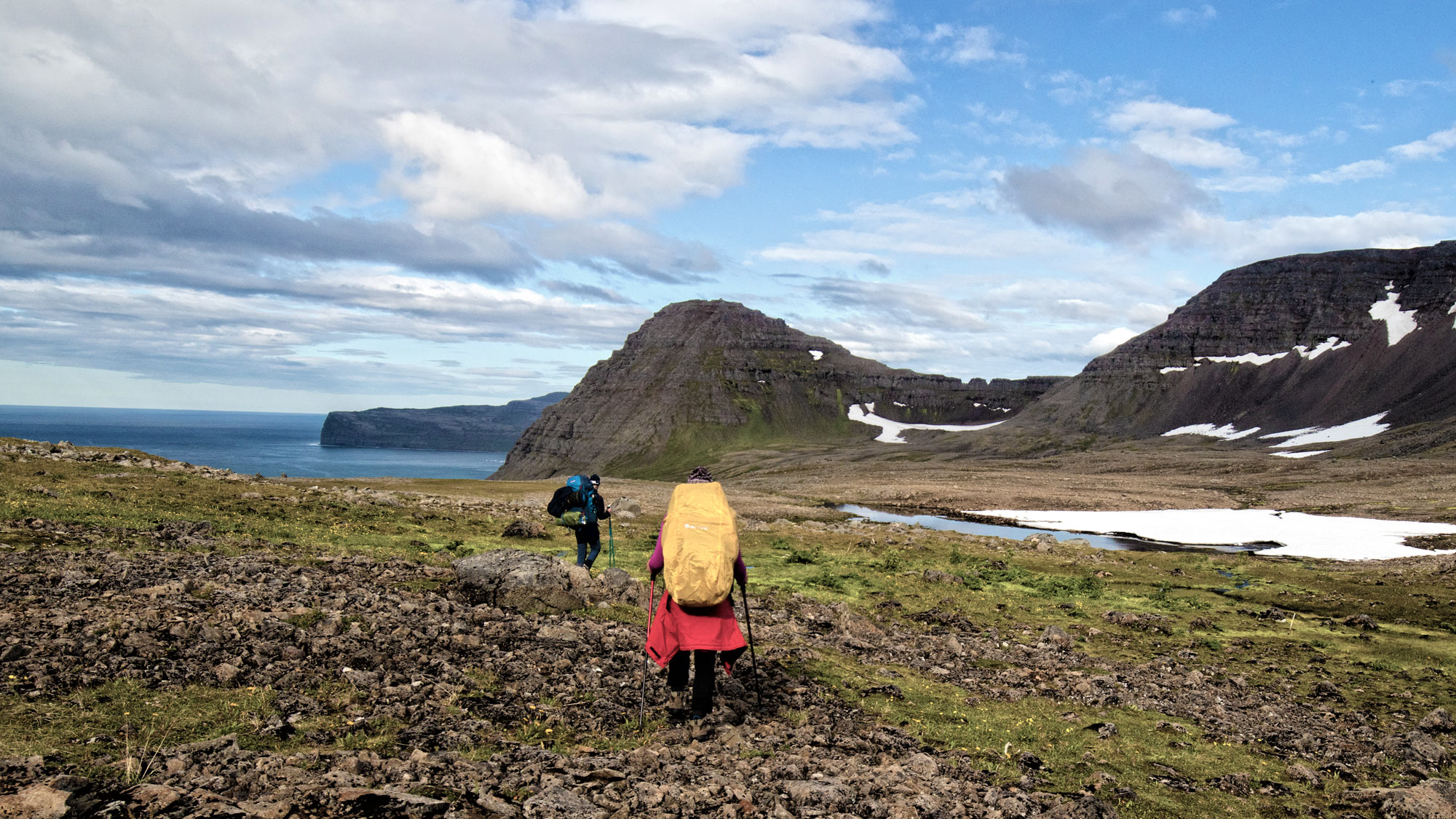 Hornstrandir Island