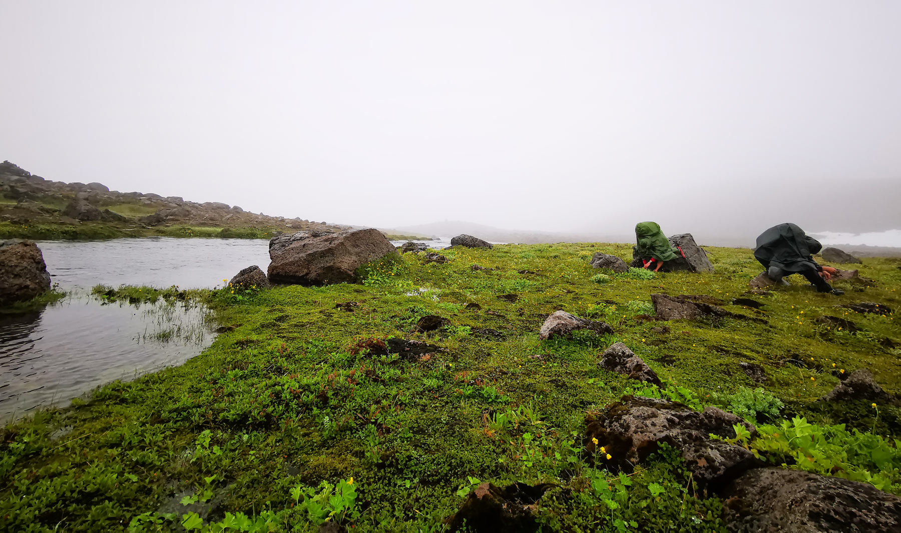 Hornstrandir -  cesta na Island