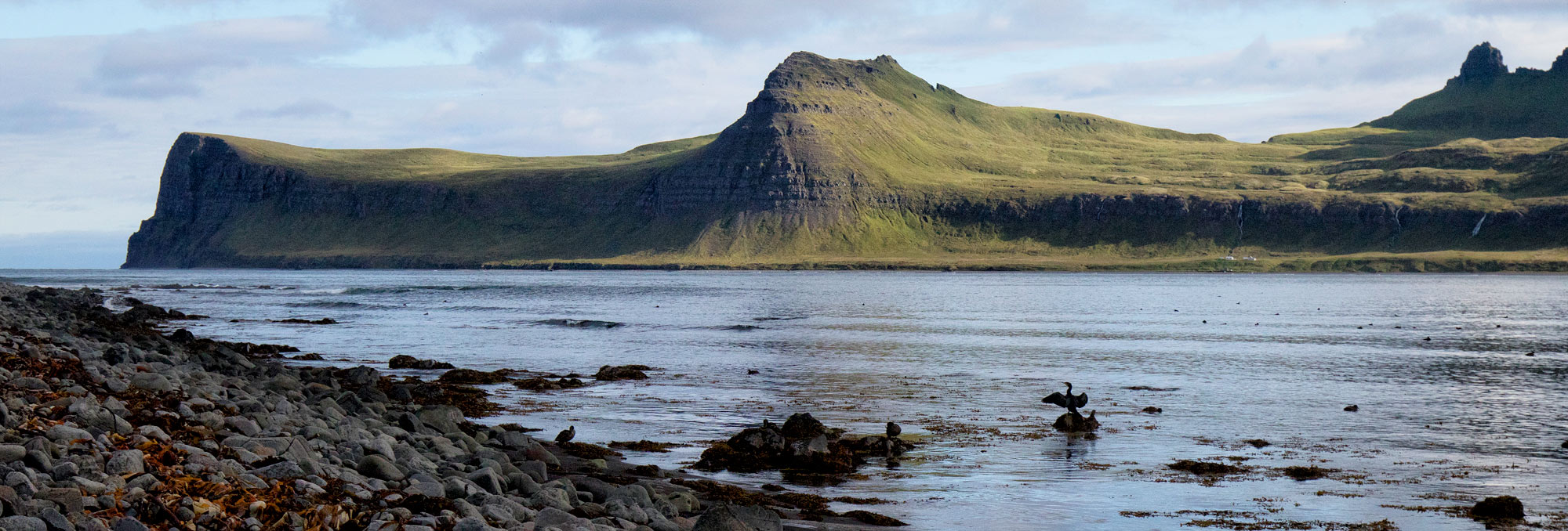 Hornstrandir -  cesta na Island