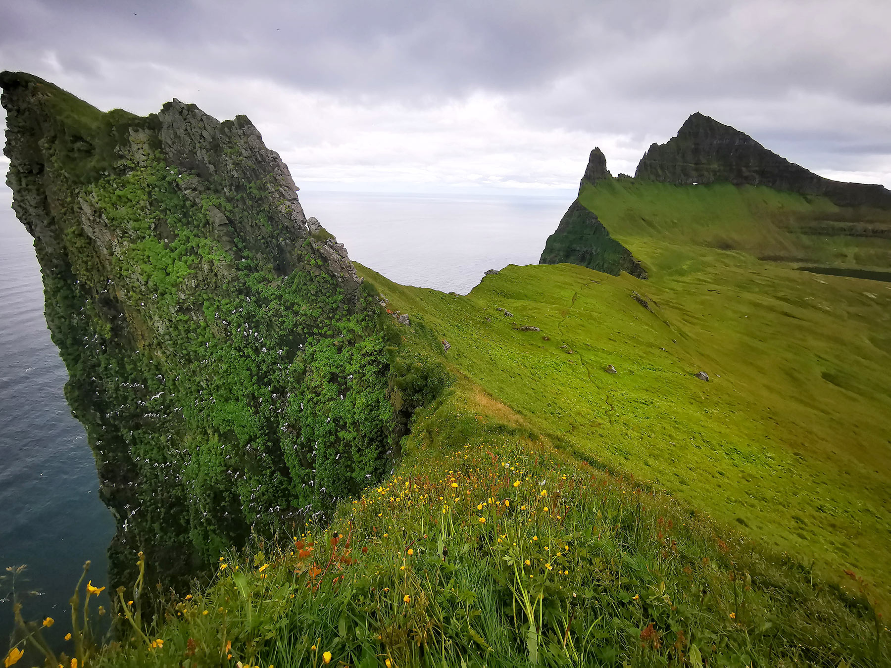 Hornstrandir -  cesta na Island