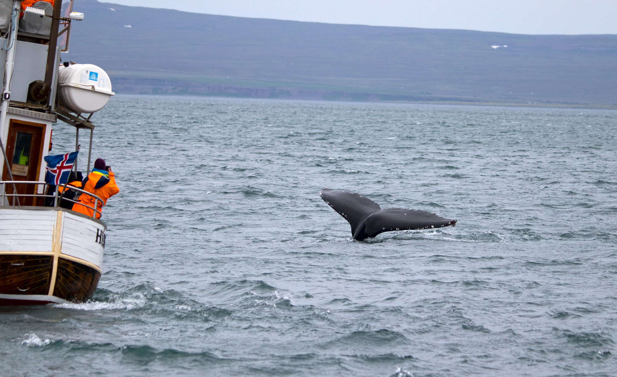 Island Husavik