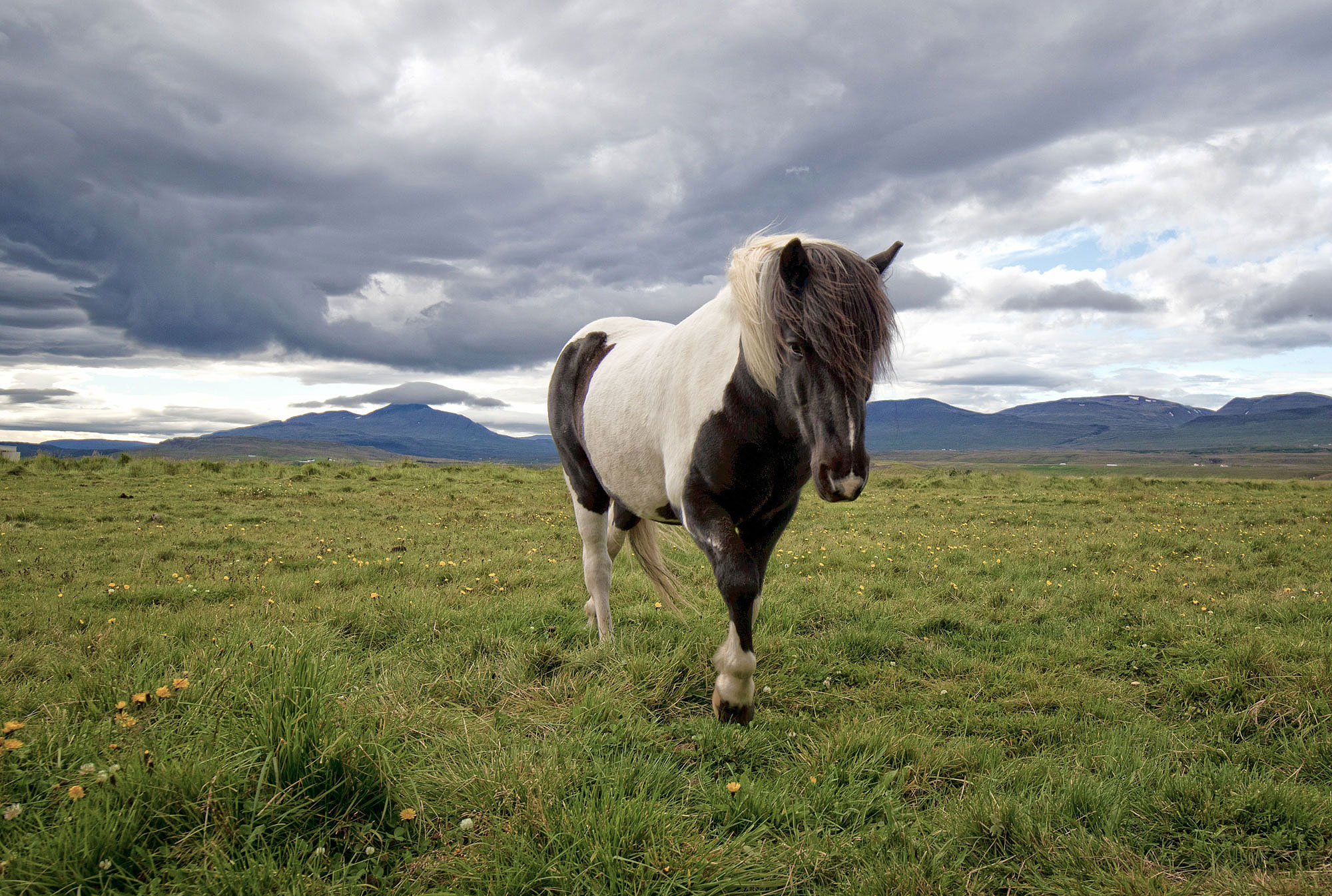 Island Husavik