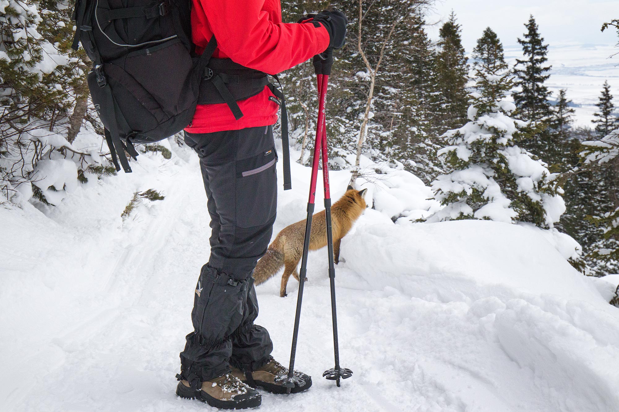 Vysoké Tatry na sněžnicích