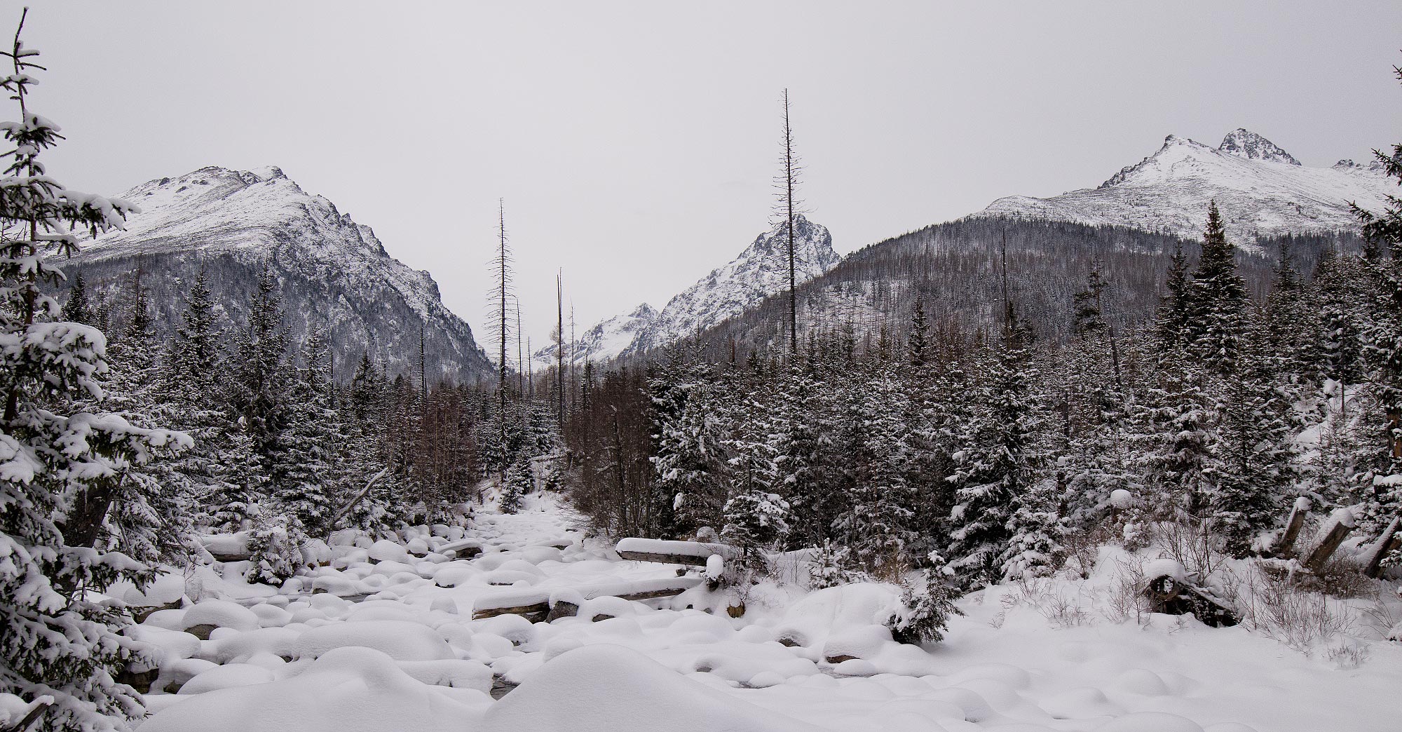 Vysoké Tatry na sněžnicích