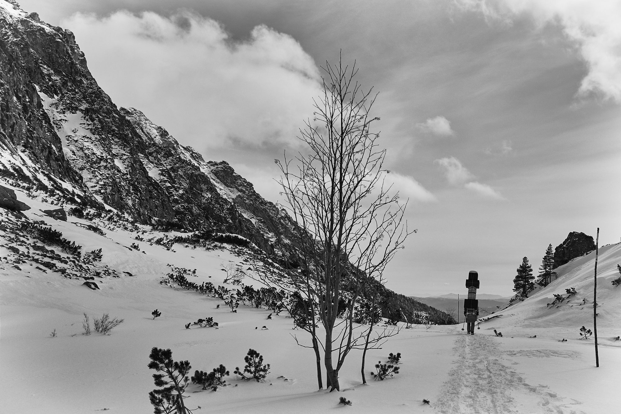 Vysoké Tatry na sněžnicích