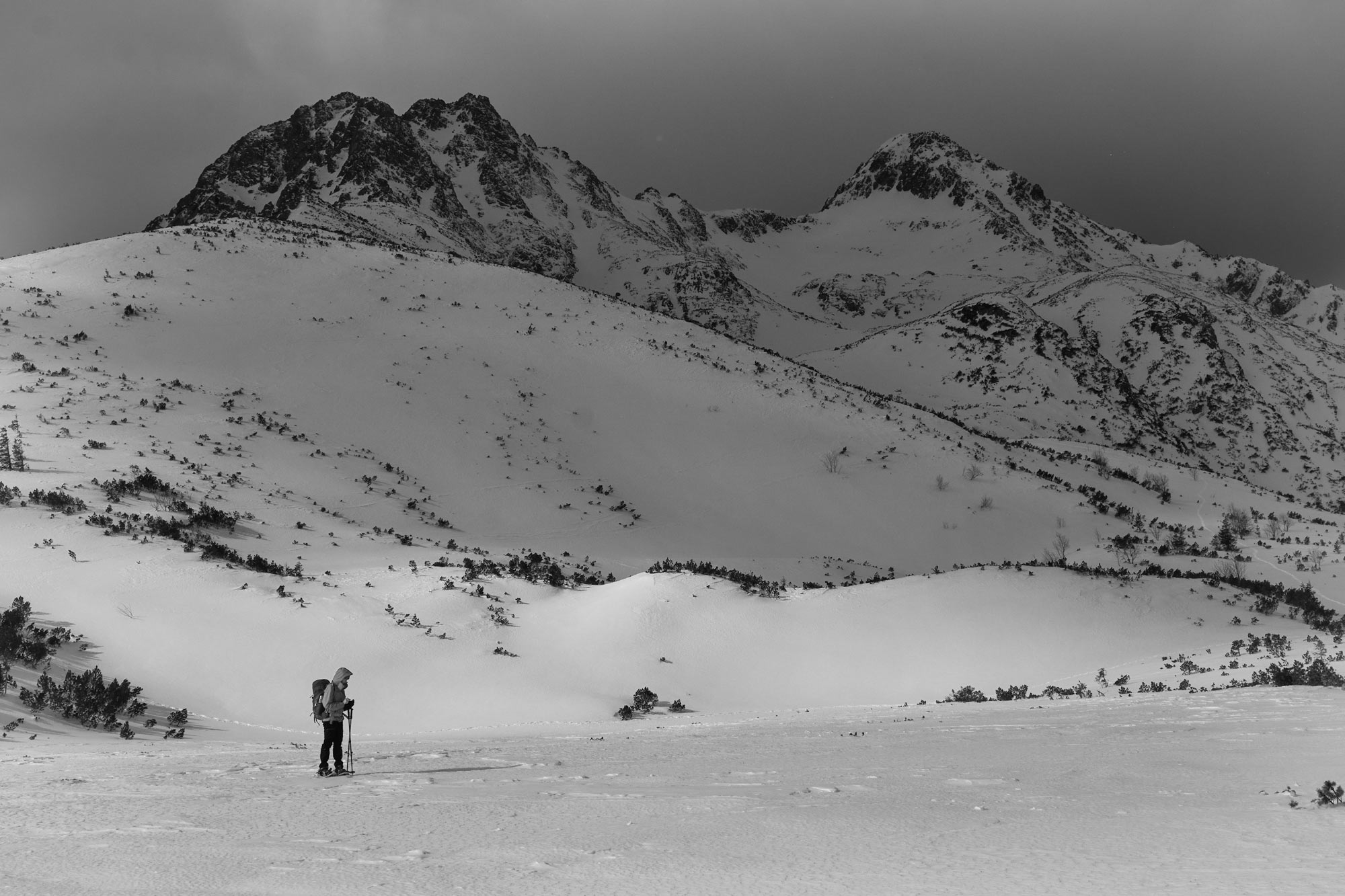 Vysoké Tatry na sněžnicích