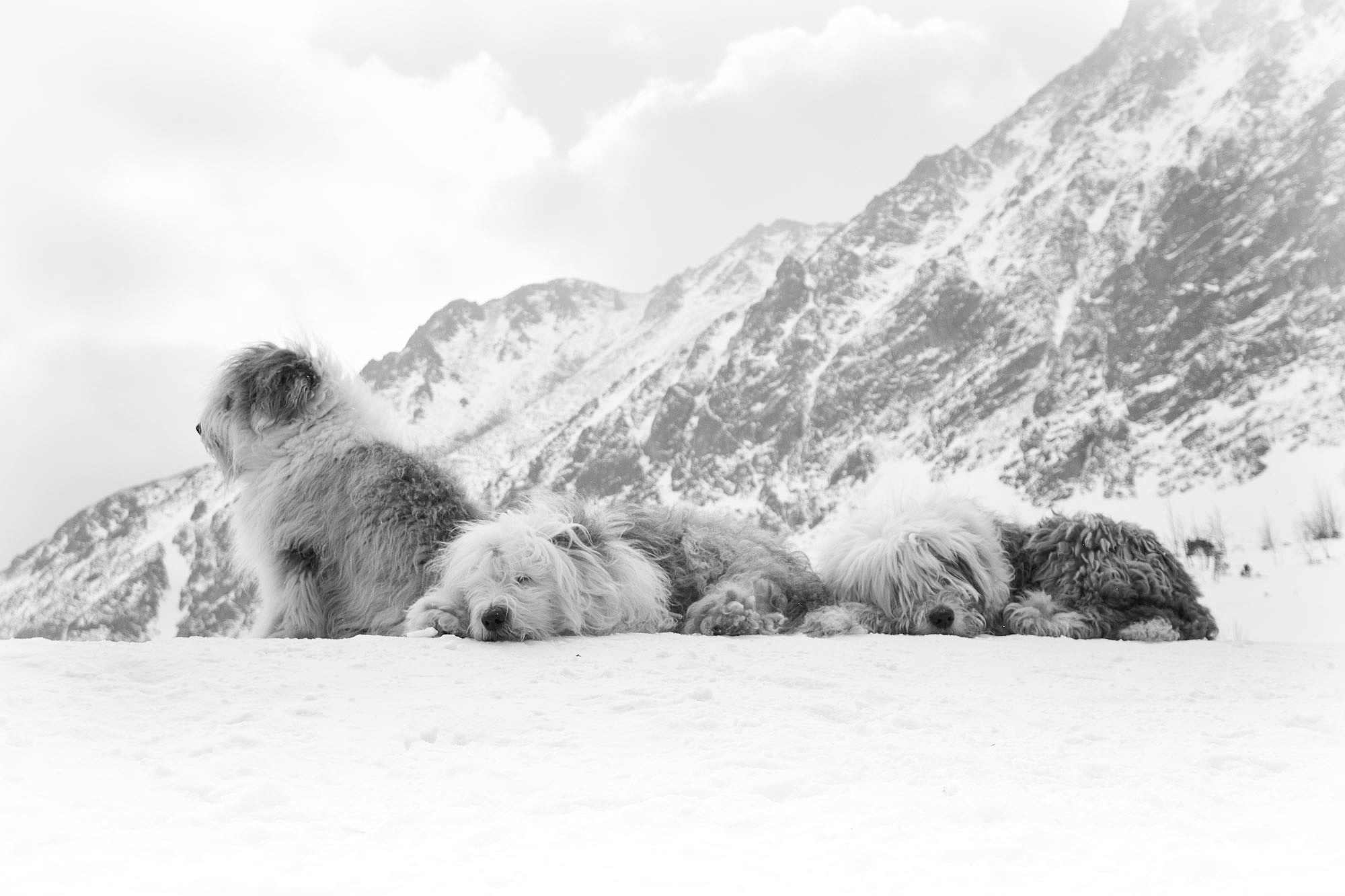 Vysoké Tatry na sněžnicích