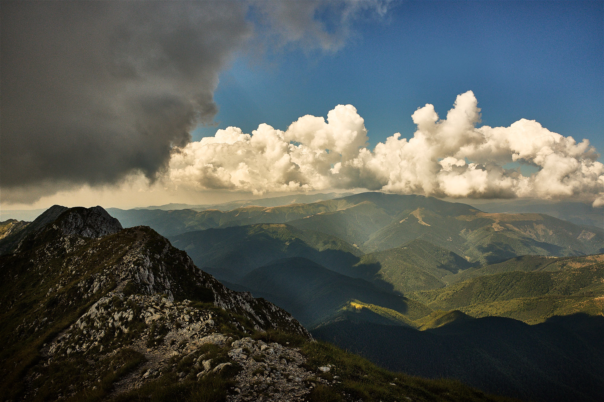 Medvěd hnědý Transfagaraš