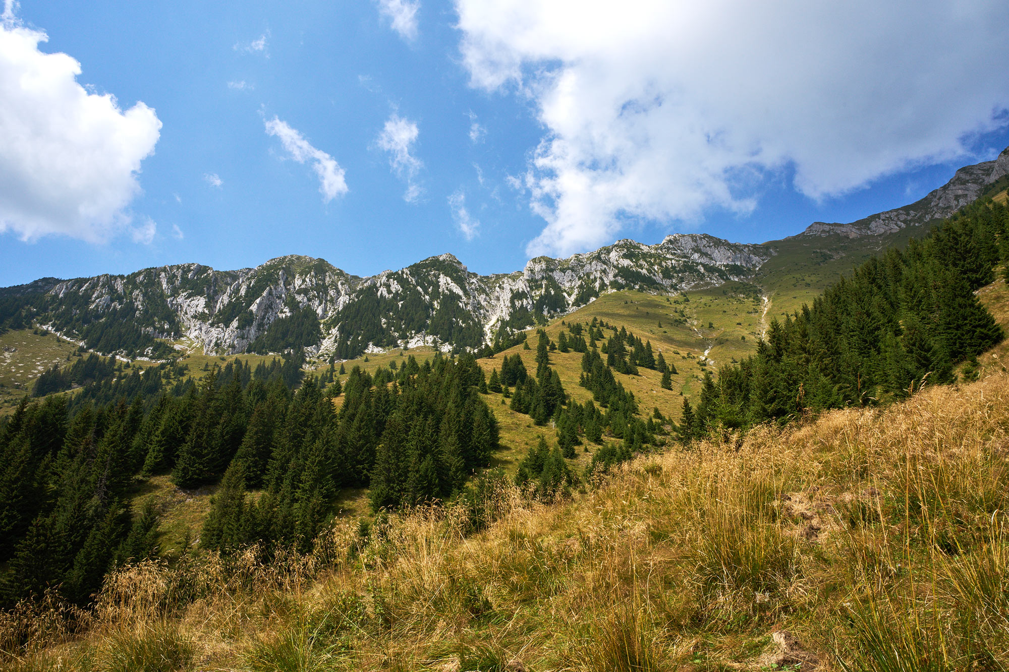 Fagaraš Rumunsko