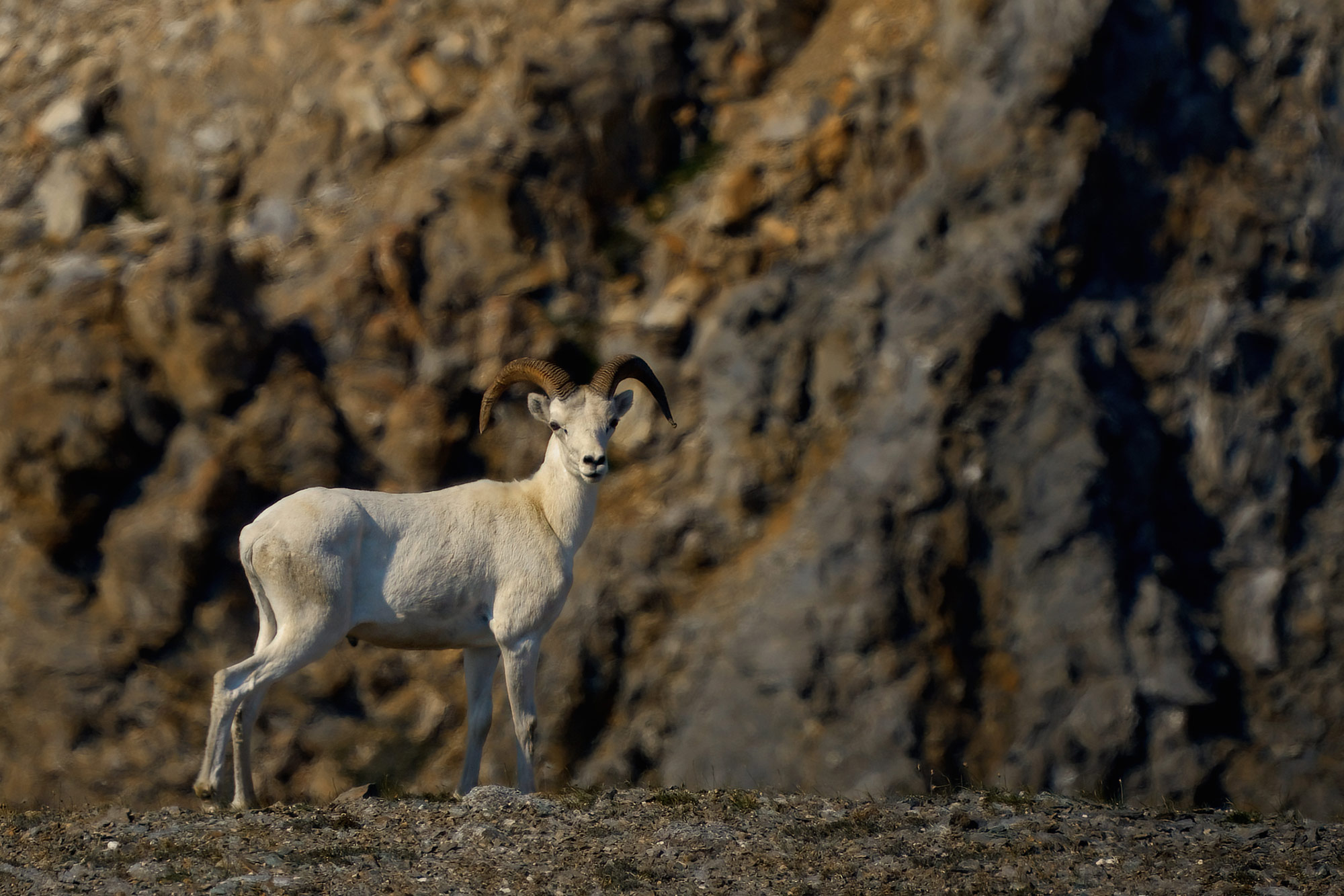 Arrigetch Peaks, Brooks Range, Gates of The Arctic, Alaska