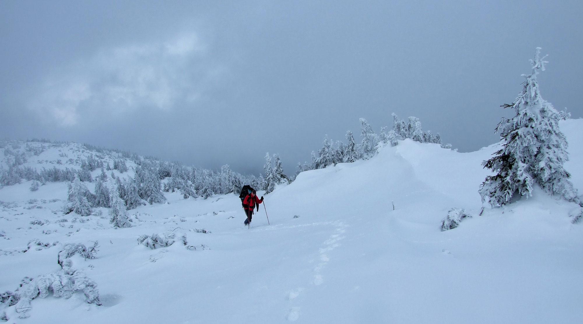 Nízké Tatry