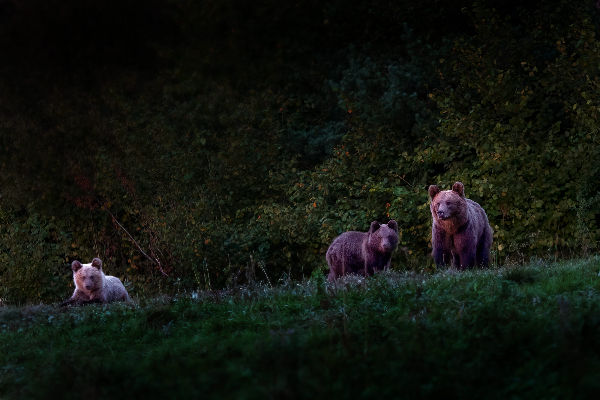 Bieszczady Polsko